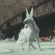 Imagen para el artículo titulado Todos los detalles y secretos que revela el BluRay de Star Wars: The Last Jedi